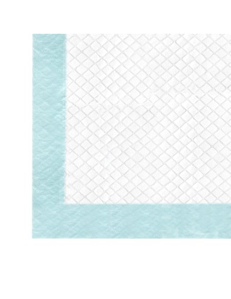 Tapiss puppy pads 60 x 90 cm - Record