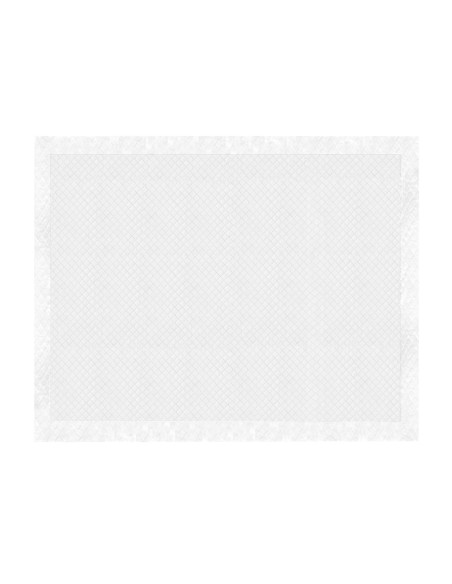 Assorbipiù puppy pads 40 x 60 cm - Record