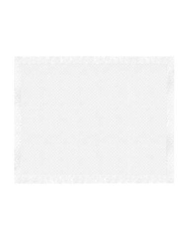 Assorbipiù puppy pads 40 x 60 cm - Record