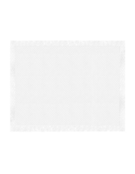 Assorbipiù puppy pads 40 x 60 cm - Record