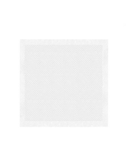 Assorbipiù puppy pads 60 x 60 cm - Record