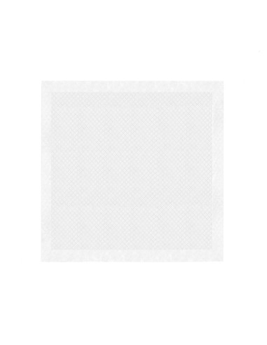 Assorbipiù puppy pads 60 x 60 cm - Record