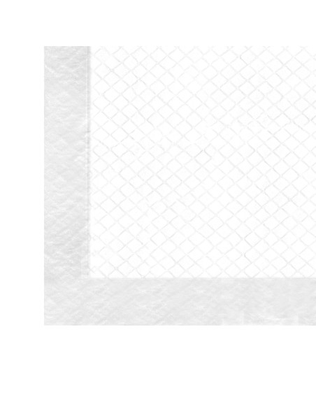 Assorbipiù puppy pads 60 x 90 cm - Record