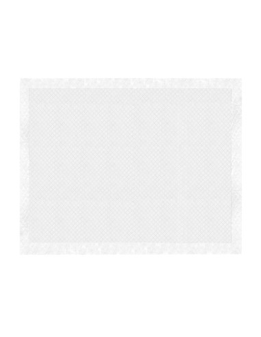 Assorbipiù puppy pads 60 x 90 cm - Record