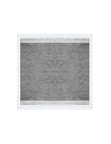 Assorbipiù puppy pads 60 x 60 cm with activated charcoal - Record