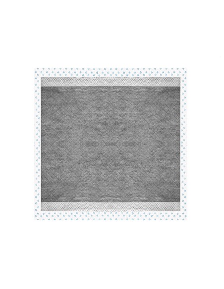 Assorbipiù puppy pads 60 x 60 cm with activated charcoal - Record