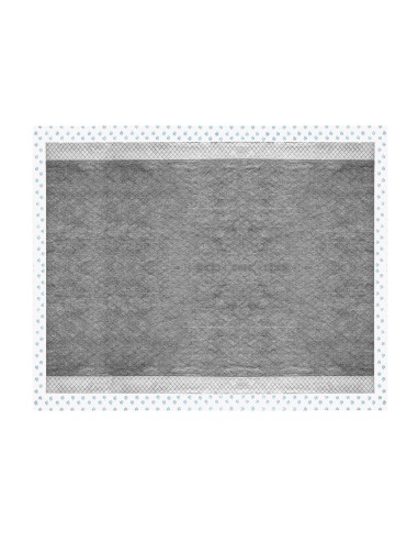 Assorbipiù puppy pads 60 x 90 cm with activated charcoal - Record