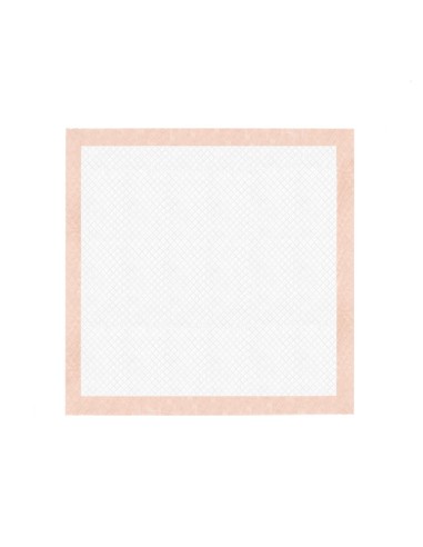 Assorbipiù puppy pads 60 x 60 cm Fresh Fruits - Record