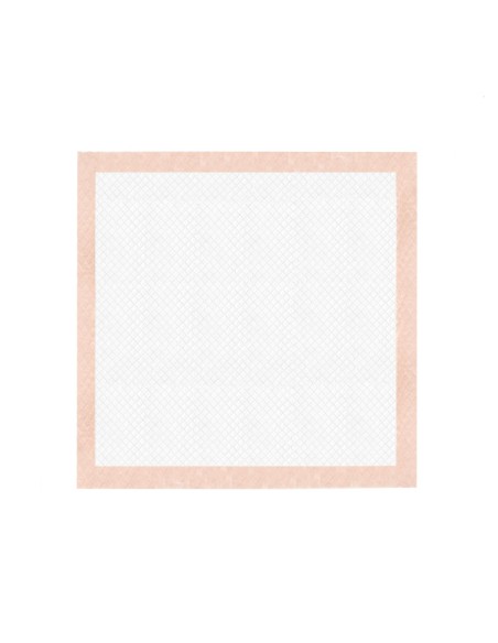 Assorbipiù puppy pads 60 x 60 cm Fresh Fruits - Record