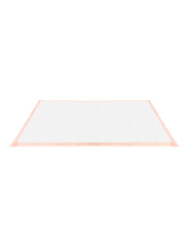 Assorbipiù puppy pads 60 x 90 cm Fresh Fruits - Record