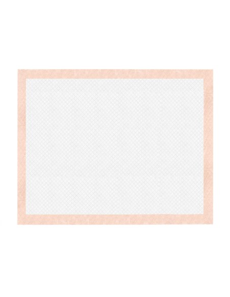 Assorbipiù puppy pads 60 x 90 cm Fresh Fruits - Record