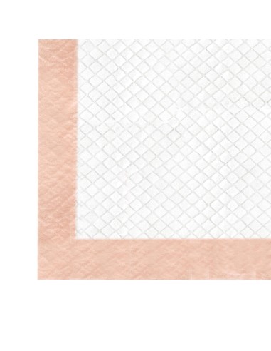 Assorbipiù puppy pads 60 x 90 cm Fresh Fruits - Record