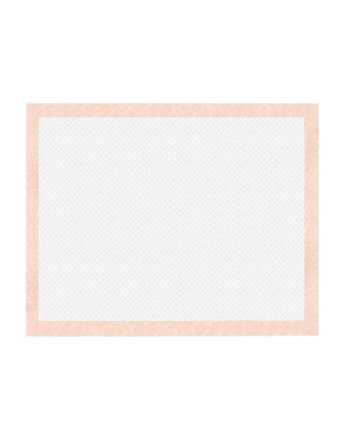 Assorbipiù puppy pads 60 x 90 cm Fresh Fruits - Record