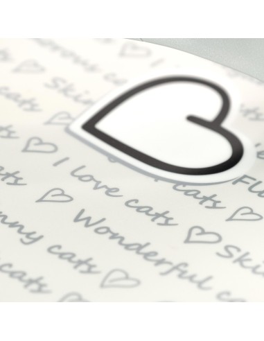 Con Amore dogs and cats carrier - Record