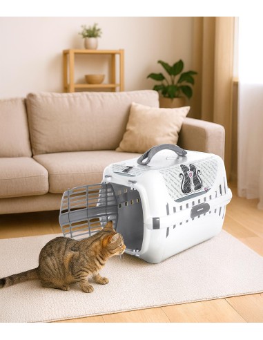 Con Amore dogs and cats carrier - Record