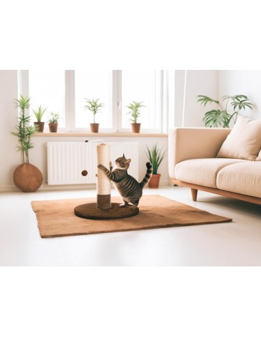 Ring-around-the-rosy cat scratcher - Record