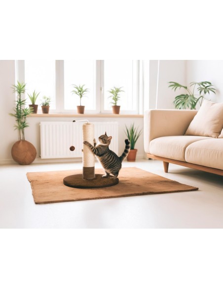 Ring-around-the-rosy cat scratcher - Record