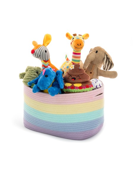 Rainbow Basket - Record