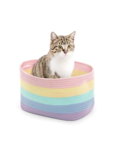 Rainbow Basket - Record