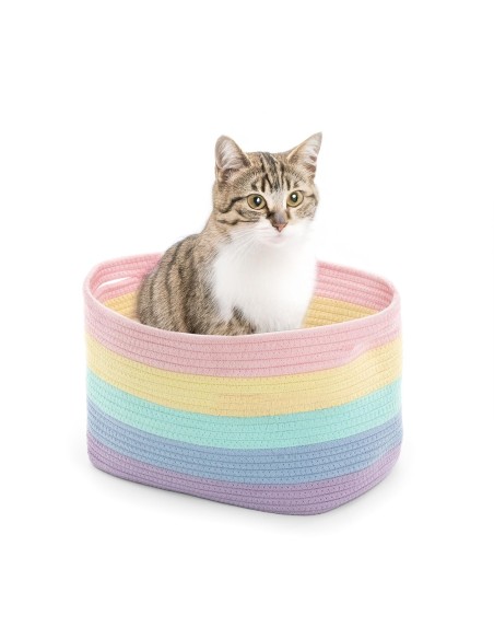 Rainbow Basket - Record