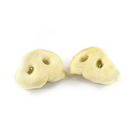 Pork nose 2 pieces Anima Selvaggia - Record