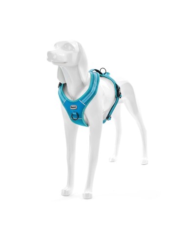 Pettorina per cani Alpi - Record