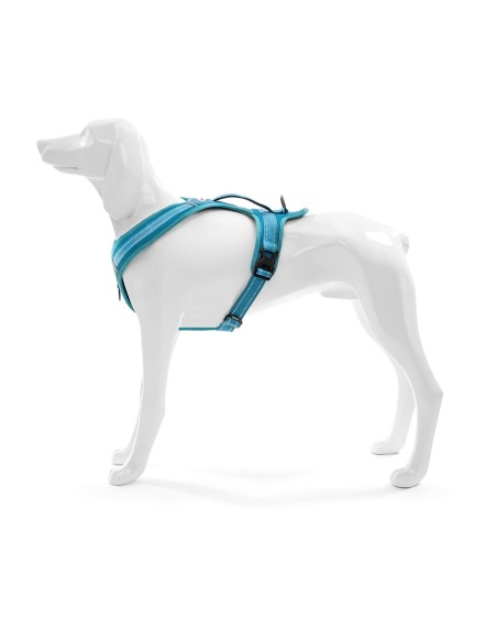 Pettorina per cani Alpi - Record