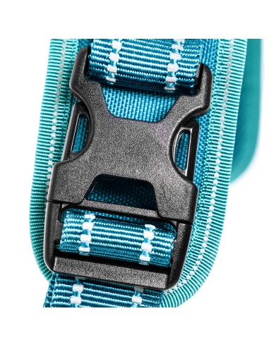 Pettorina per cani Alpi - Record