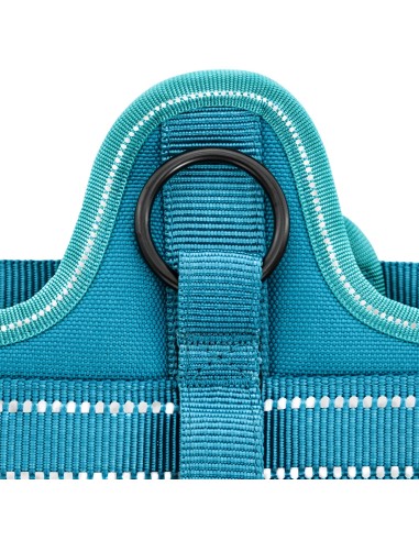 Pettorina per cani Alpi - Record