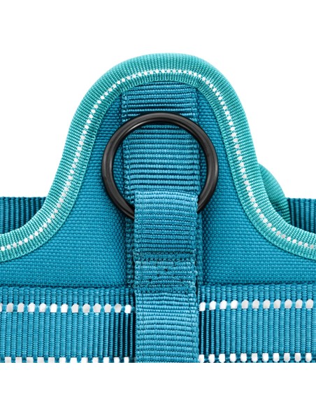 Pettorina per cani Alpi - Record