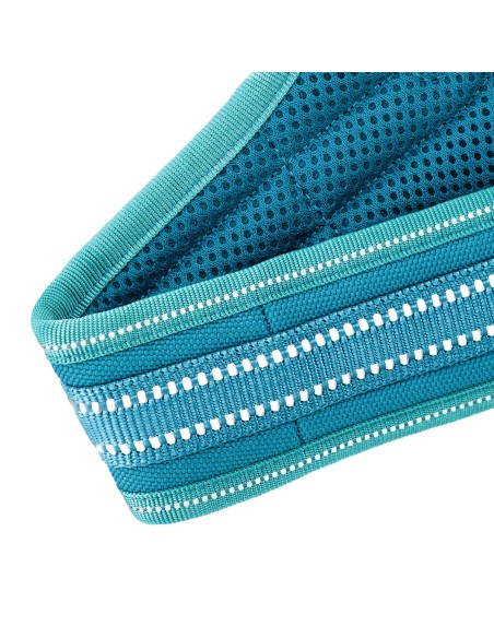 Pettorina per cani Alpi - Record