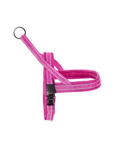 Dolomiti dog harness - Record