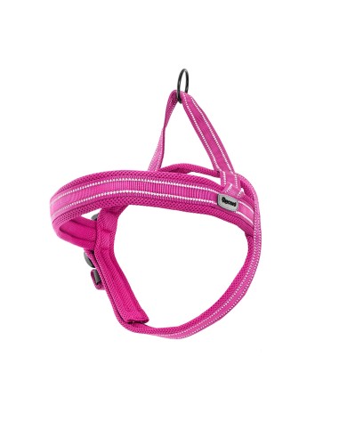 Dolomiti dog harness - Record