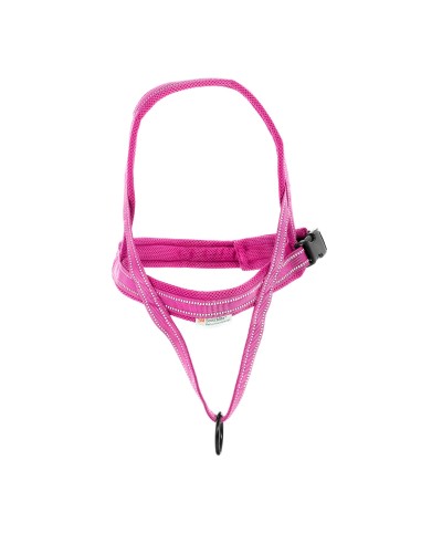 Dolomiti dog harness - Record