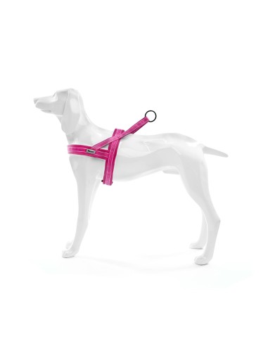 Dolomiti dog harness - Record