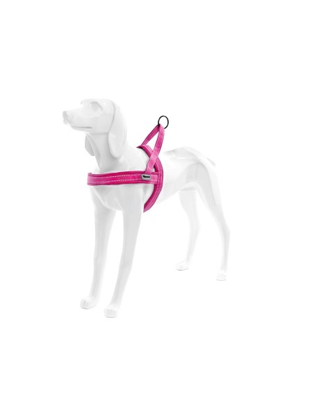 Dolomiti dog harness - Record