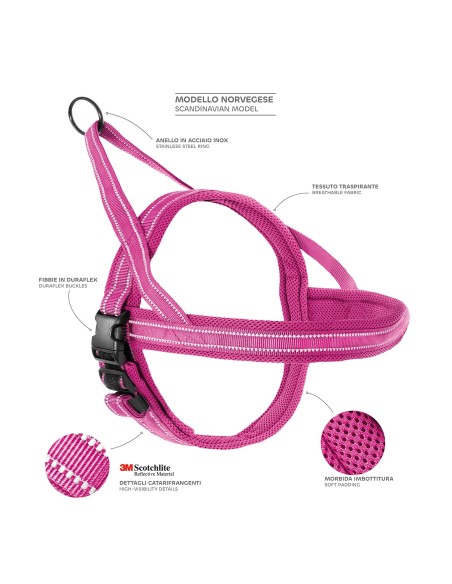 Dolomiti dog harness - Record