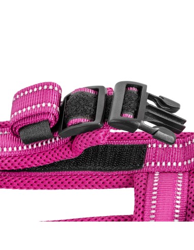 Dolomiti dog harness - Record