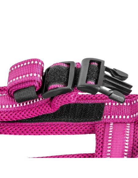 Dolomiti dog harness - Record