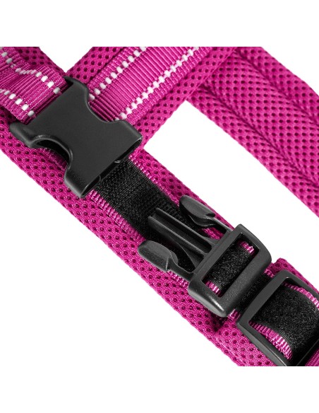 Dolomiti dog harness - Record