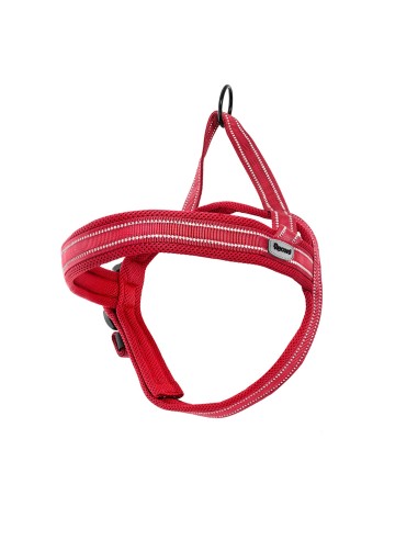 Dolomiti dog harness - Record
