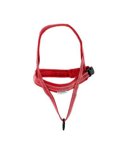 Dolomiti dog harness - Record