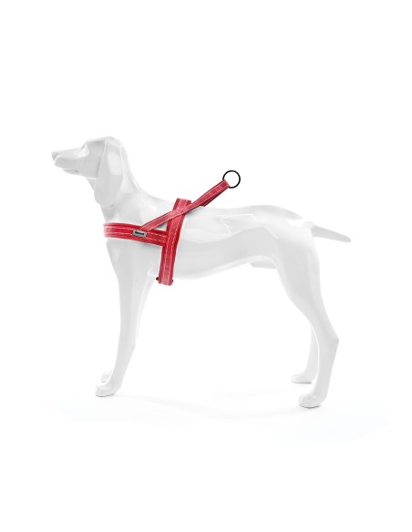Pettorina per cani Dolomiti - Record