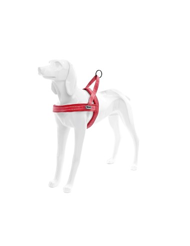 Dolomiti dog harness - Record