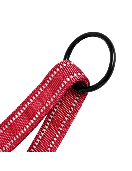 Dolomiti dog harness - Record