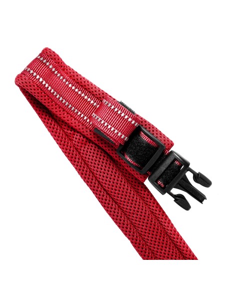 Dolomiti dog harness - Record