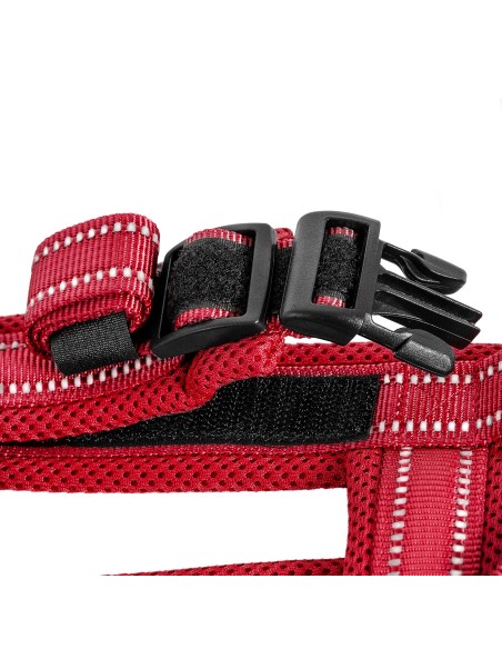 Dolomiti dog harness - Record