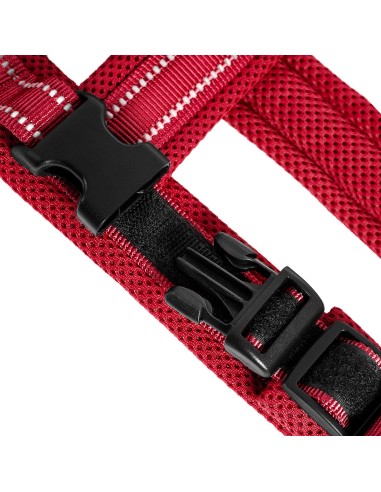 Dolomiti dog harness - Record