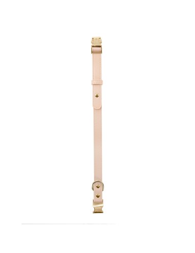 Synthetic leather dog collar with metal buckle - Record