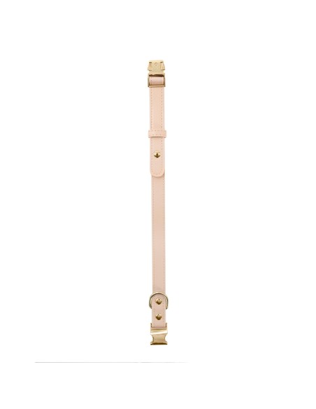 Synthetic leather dog collar with metal buckle - Record